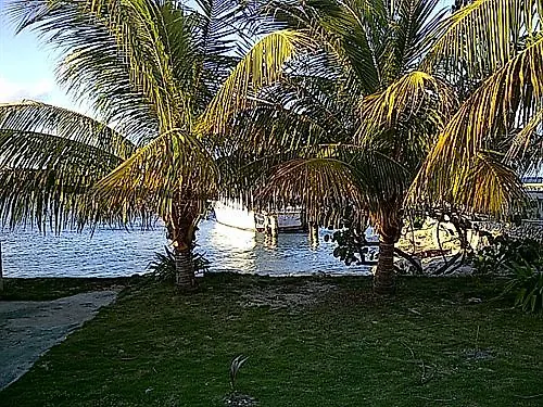 Cariblue Hotel & Scuba Resort مونتيغو باي