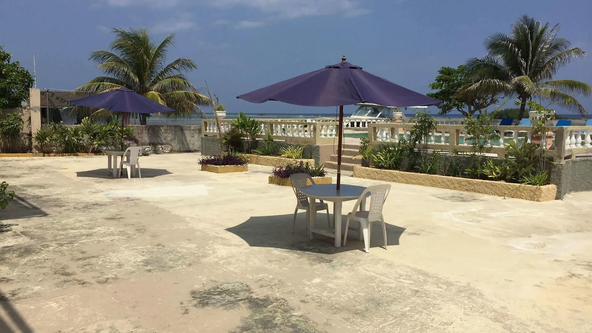 Cariblue Hotel & Scuba Resort مونتيغو باي